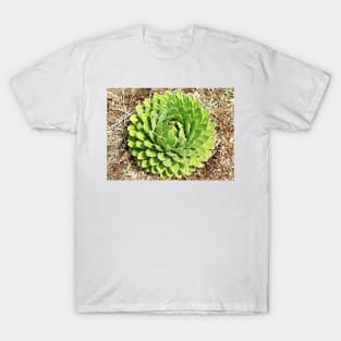 Desert Green Rosette T-Shirt